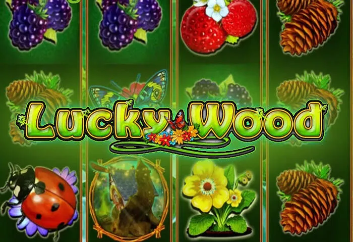 Spannungsvolle Spielauswahl im Mybestbet Casino.