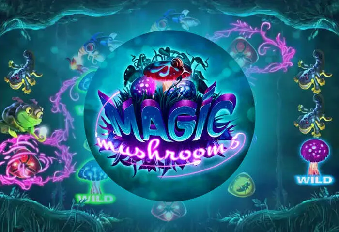Vivi l'emozione del casinò con l'app Mybestbet Casino Mobile