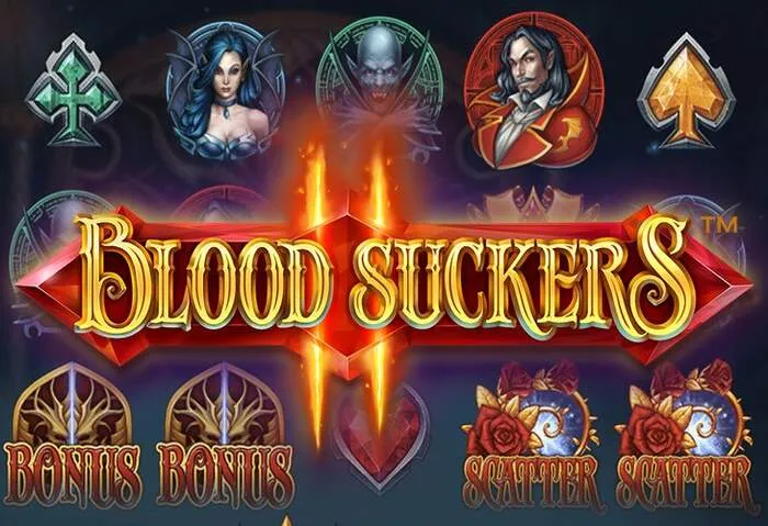 Accede a Mybestbet Casino Iniciar Sesión: Juegos y Promociones.