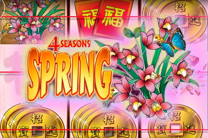 Dettagli del Pacchetto Bonus di Benvenuto Mybestbet Casino.