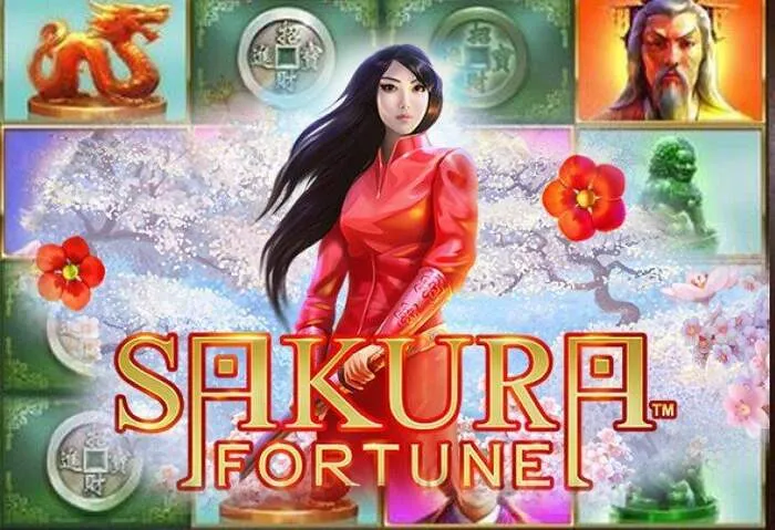 Schnelle Auszahlungen dank Mybestbet Casino Bonus und Promotionen.